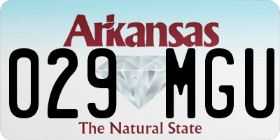 AR license plate 029MGU