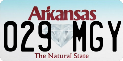 AR license plate 029MGY