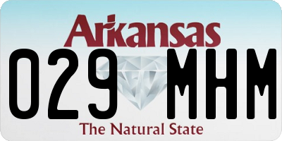 AR license plate 029MHM