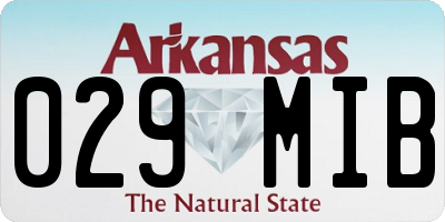AR license plate 029MIB