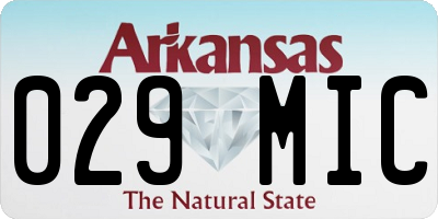 AR license plate 029MIC