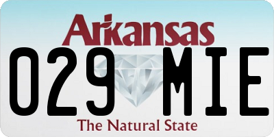 AR license plate 029MIE