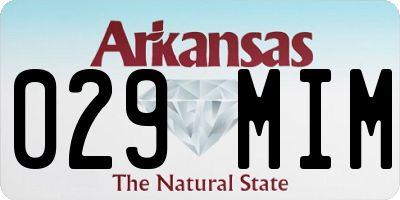 AR license plate 029MIM
