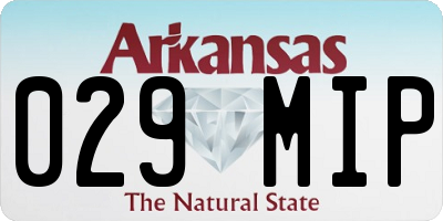 AR license plate 029MIP