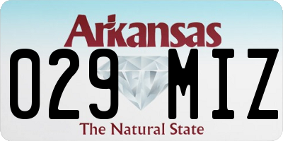 AR license plate 029MIZ