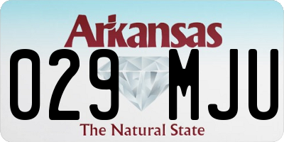 AR license plate 029MJU