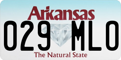 AR license plate 029MLO