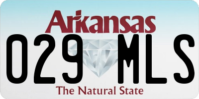 AR license plate 029MLS