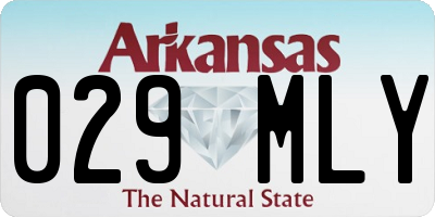 AR license plate 029MLY