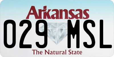 AR license plate 029MSL