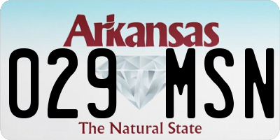 AR license plate 029MSN