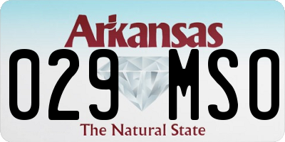 AR license plate 029MSO