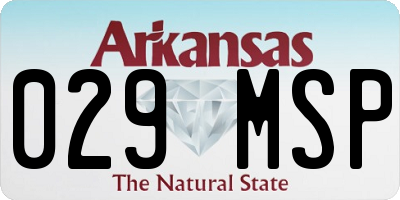 AR license plate 029MSP