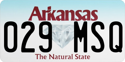 AR license plate 029MSQ