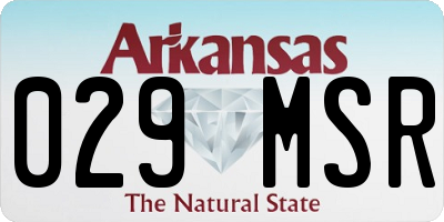 AR license plate 029MSR