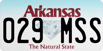 AR license plate 029MSS