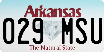 AR license plate 029MSU