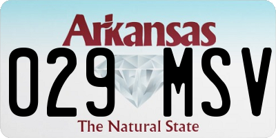 AR license plate 029MSV