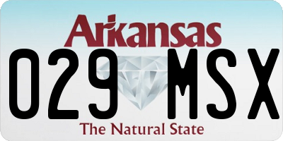 AR license plate 029MSX