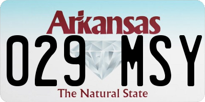 AR license plate 029MSY