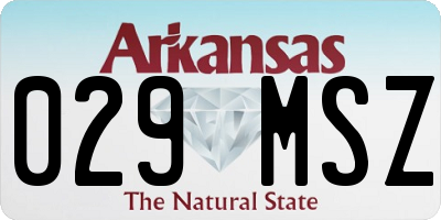 AR license plate 029MSZ