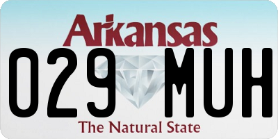 AR license plate 029MUH