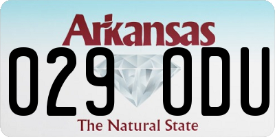 AR license plate 029ODU