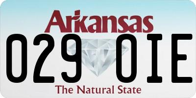 AR license plate 029OIE