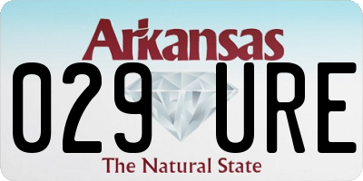 AR license plate 029URE