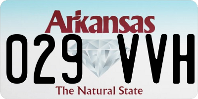 AR license plate 029VVH
