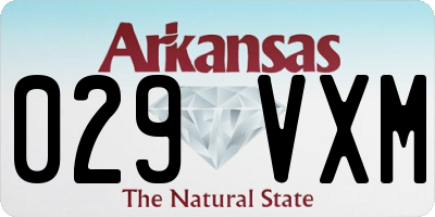 AR license plate 029VXM