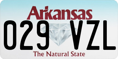 AR license plate 029VZL