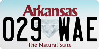 AR license plate 029WAE
