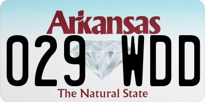 AR license plate 029WDD