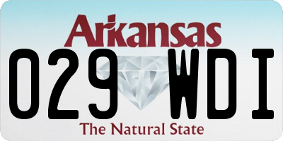AR license plate 029WDI