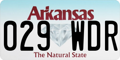 AR license plate 029WDR