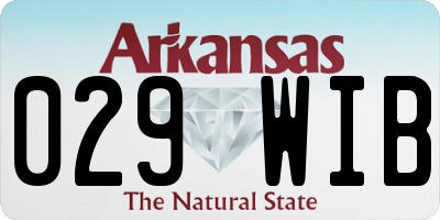 AR license plate 029WIB