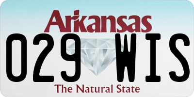 AR license plate 029WIS