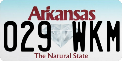 AR license plate 029WKM