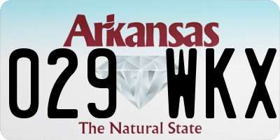 AR license plate 029WKX