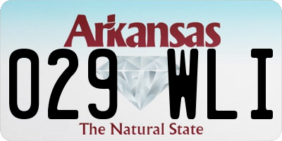 AR license plate 029WLI