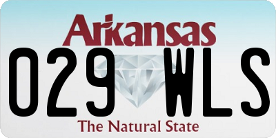 AR license plate 029WLS