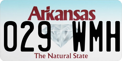 AR license plate 029WMH