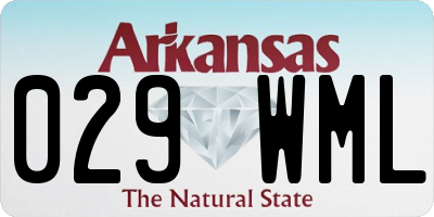 AR license plate 029WML