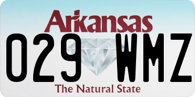 AR license plate 029WMZ