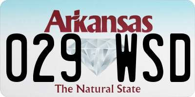 AR license plate 029WSD