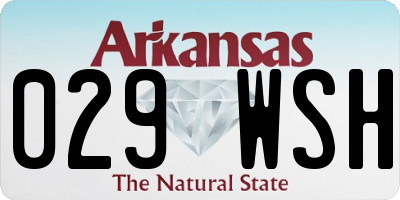 AR license plate 029WSH