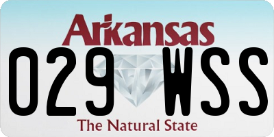 AR license plate 029WSS