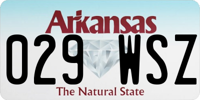 AR license plate 029WSZ