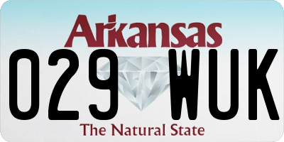 AR license plate 029WUK